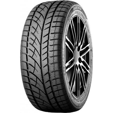 Evergreen Winter EW66 235/55 R17 99H 6922250446190