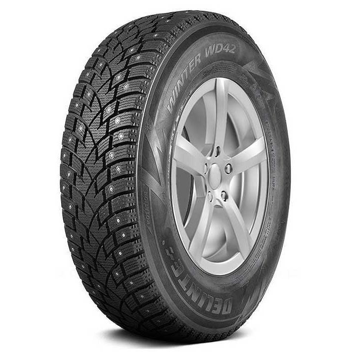 Delinte Winter WD42 275/50 R21 113T 6921109029126